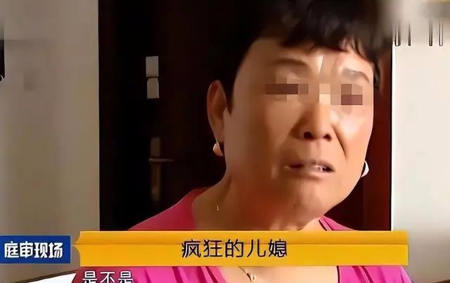 儿媳妇打婆婆，最新法律应对与时代的警钟